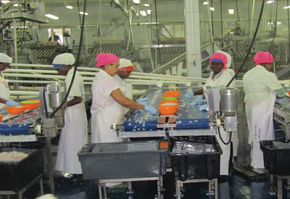 Caribbean processing facilities aim to achieve international standards