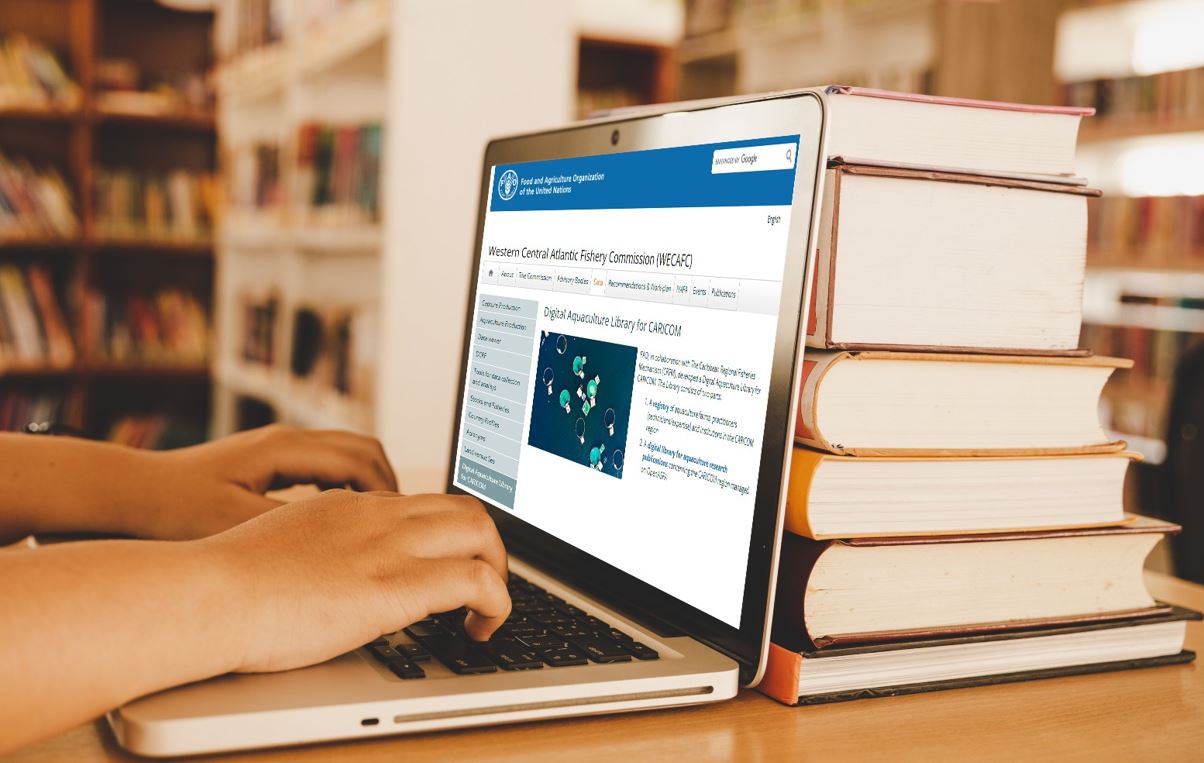 Digital Library Graphic sm