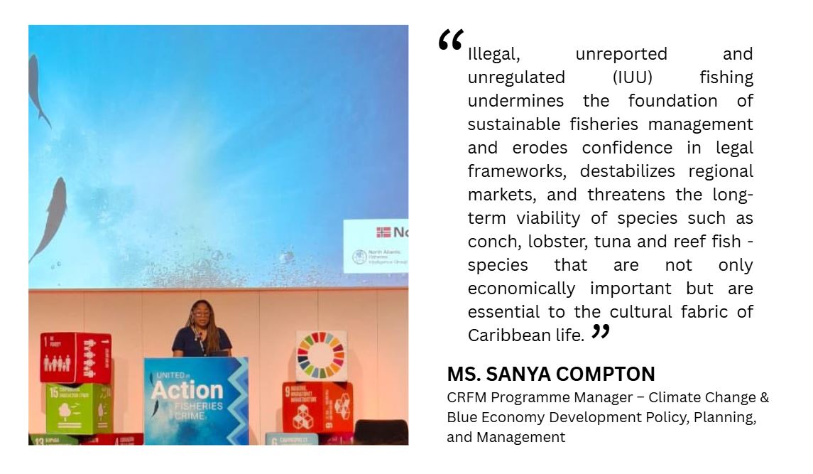 Sanya Compton at UN Blue Justice 2025 Conference