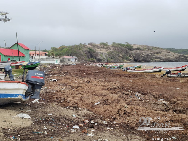 Sargassum inundation defaces coastline of Saint Lucia fishing community June 2022