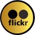 flick-fin
