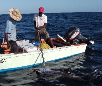 Fishers adapt to climate change by diversifying their strategies and gear for harvesting fish