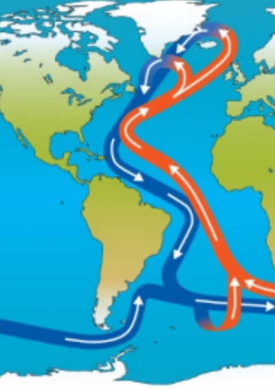 The Impacts of AMOC Breakdown on Caribbean Fisheries: urgent attention needed to avert demise