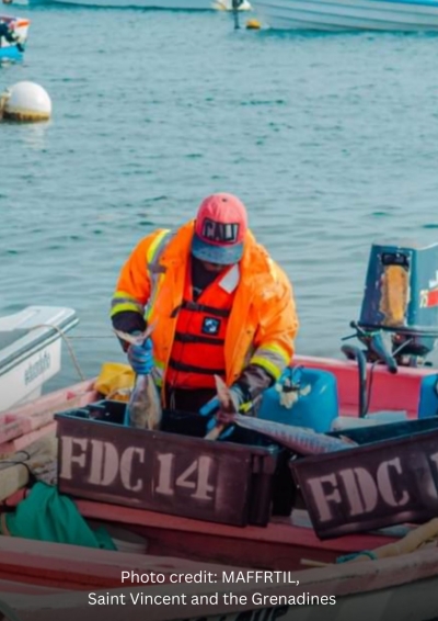 Charting a Course Towards Sustainable and Resilient Prosperity in Fisheries and Aquaculture