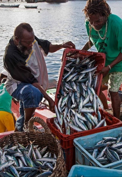 CAF, FAO, and CRFM partner on new Regional GEF-funded Blue Economy Project to strengthen Marine Biodiversity and Fisheries resilience in the Caribbean