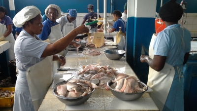 The Caribbean continues to sustain a vibrant fisheries and aquaculture industry. Factory workers in Guyana help to ensure quality standards of produce destined for commercial markets
