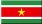 suriname.jpg